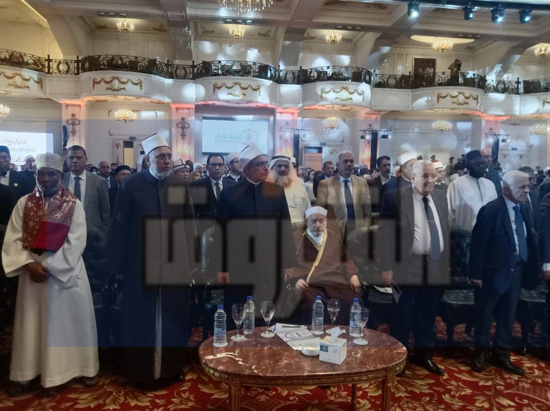 تصوير: جيهان نصر